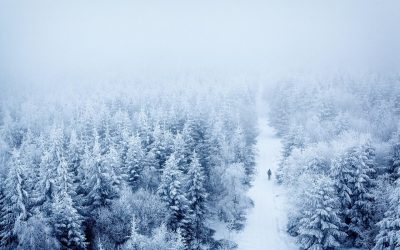 雪景中的日剧剧照风格画面，人物剪影走在积雪街道上